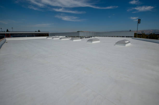 Best 4 Ply Roofing  in Kirbyville, TX