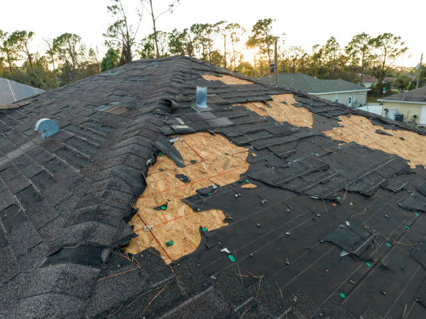 Best Flat Roofing  in Kirbyville, TX