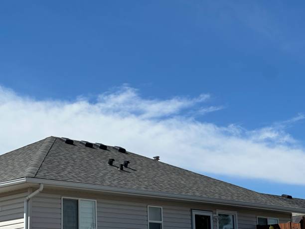 Best Gutter Installation and Repair  in Kirbyville, TX